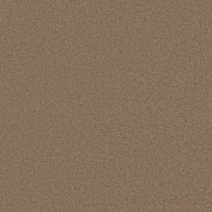 Anderson Tuftex Carpet CASHMERE CLASSIC III - 00722 PEBBLE PATH