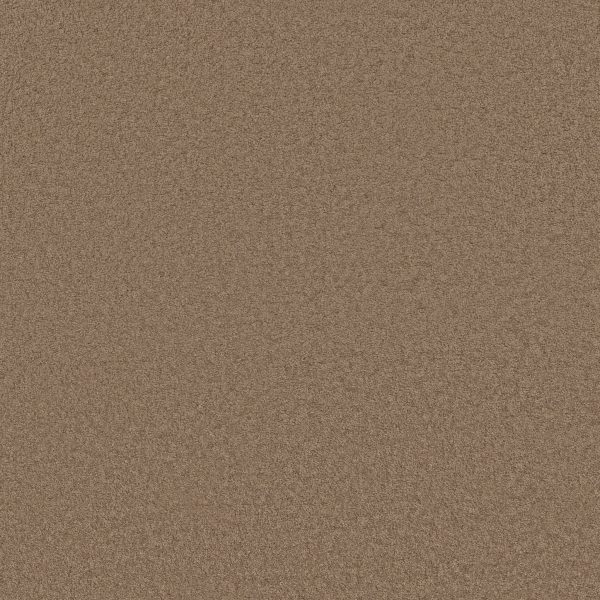 Anderson Tuftex Carpet CASHMERE CLASSIC III - 00722 PEBBLE PATH