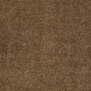 Anderson Tuftex Carpet CASHMERE CLASSIC III - 00723 TOBACCO LEAF
