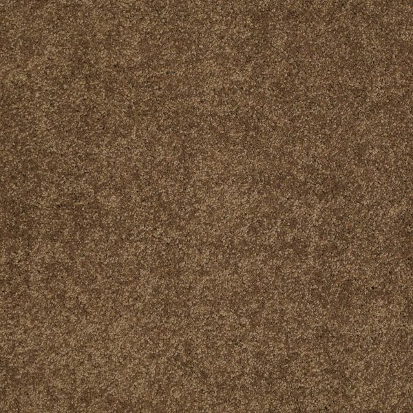 Anderson Tuftex Carpet CASHMERE CLASSIC III - 00723 TOBACCO LEAF