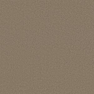 Anderson Tuftex Carpet CASHMERE CLASSIC III - 00724 MESQUITE