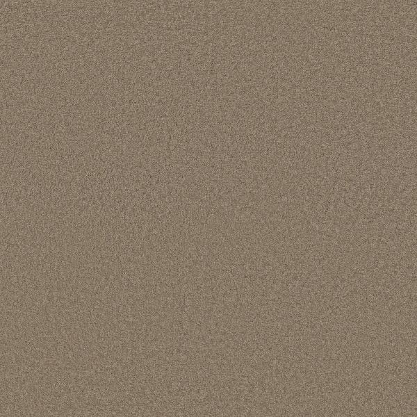 Anderson Tuftex Carpet CASHMERE CLASSIC III - 00724 MESQUITE