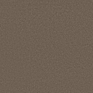 Anderson Tuftex Carpet CASHMERE CLASSIC III - 00725 SPRING - WOOD