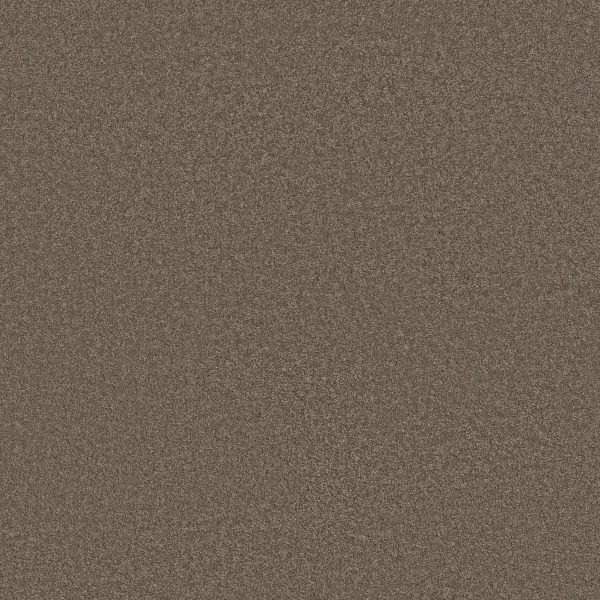 Anderson Tuftex Carpet CASHMERE CLASSIC III - 00725 SPRING - WOOD