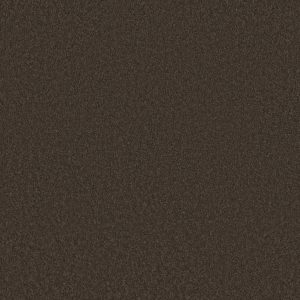Anderson Tuftex Carpet CASHMERE CLASSIC III - 00726 CHESTNUT