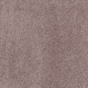 Anderson Tuftex Carpet CASHMERE CLASSIC III - 00922 HEATHER