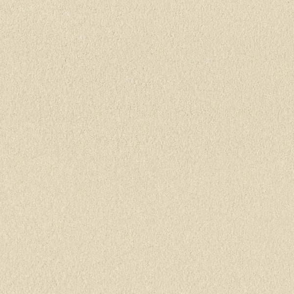 Anderson Tuftex Carpet CASHMERE CLASSIC IV - 00100 ICELANDIC