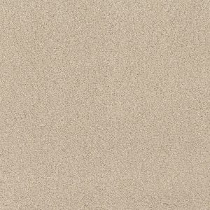 Anderson Tuftex Carpet CASHMERE CLASSIC IV - 00104 CHEVIOT