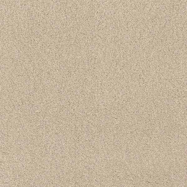 Anderson Tuftex Carpet CASHMERE CLASSIC IV - 00104 CHEVIOT