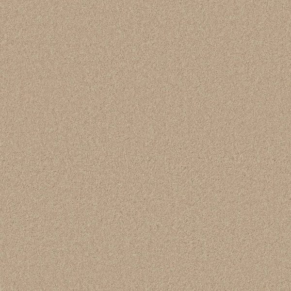 Anderson Tuftex Carpet CASHMERE CLASSIC IV - 00107 YEARLING