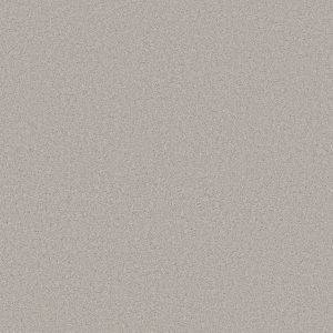 Anderson Tuftex Carpet CASHMERE CLASSIC IV - 00123 SILVER LINING