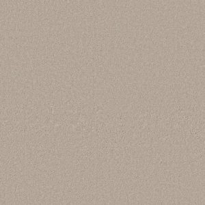 Anderson Tuftex Carpet CASHMERE CLASSIC IV - 00124 BISMUTH