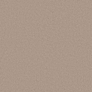 Anderson Tuftex Carpet CASHMERE CLASSIC IV - 00126 HARVEST MOON