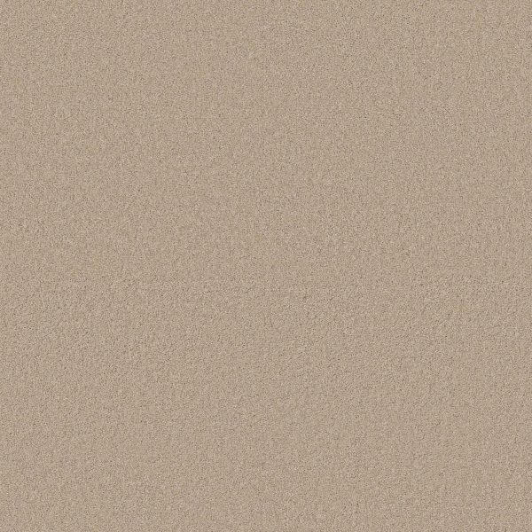 Anderson Tuftex Carpet CASHMERE CLASSIC IV - 00127 SUEDE