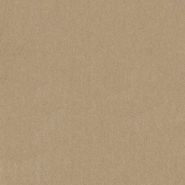Anderson Tuftex Carpet CASHMERE CLASSIC IV - 00128 GENTLE DOE