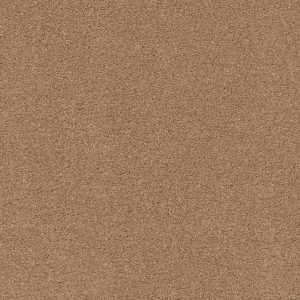 Anderson Tuftex Carpet CASHMERE CLASSIC IV - 00222 BRASS LANTERN