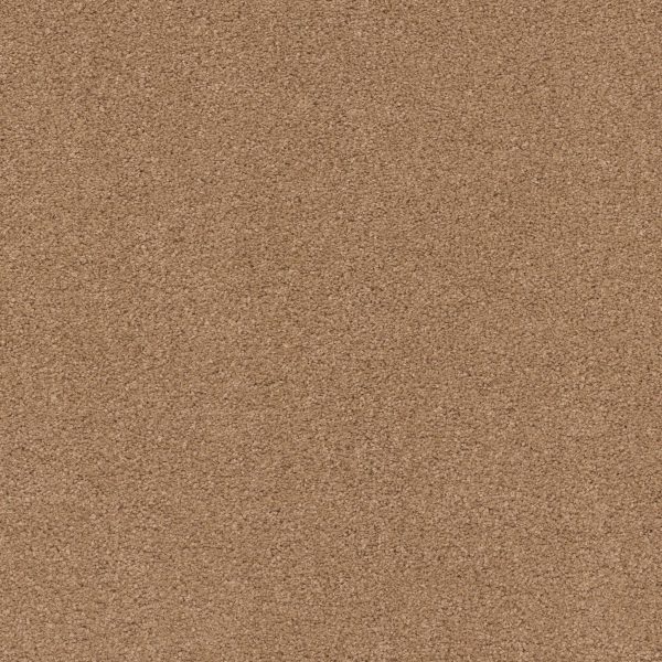 Anderson Tuftex Carpet CASHMERE CLASSIC IV - 00222 BRASS LANTERN