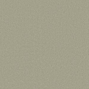 Anderson Tuftex Carpet CASHMERE CLASSIC IV - 00322 CELADON