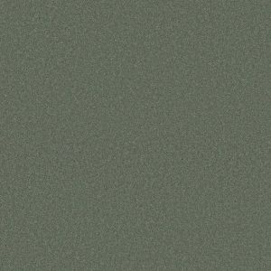 Anderson Tuftex Carpet CASHMERE CLASSIC IV - 00323 JADE