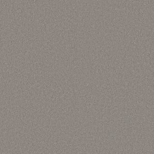 Anderson Tuftex Carpet CASHMERE CLASSIC IV - 00521 HAZE