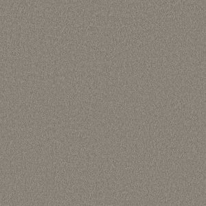 Anderson Tuftex Carpet CASHMERE CLASSIC IV - 00522 BIRCH BARK