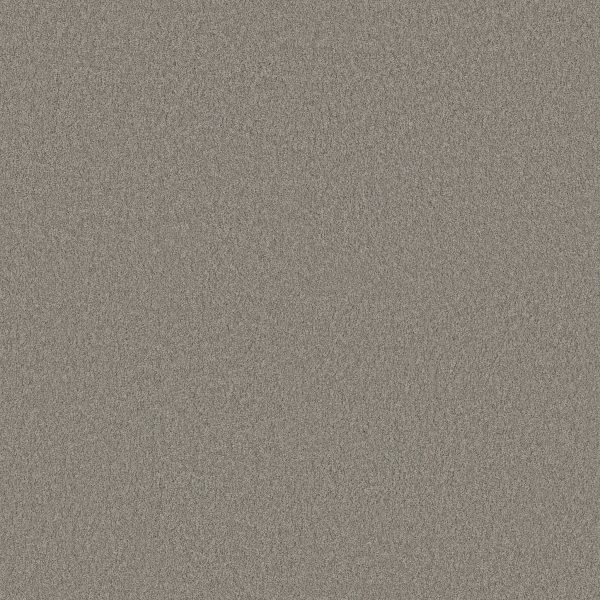 Anderson Tuftex Carpet CASHMERE CLASSIC IV - 00522 BIRCH BARK
