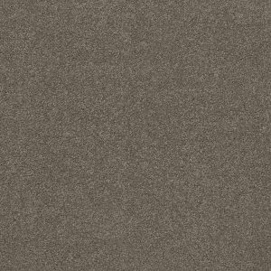 Anderson Tuftex Carpet CASHMERE CLASSIC IV - 00526 CHINCHILLA