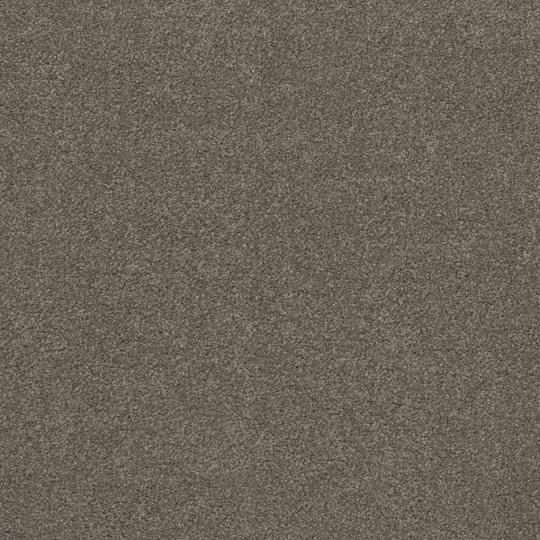 Anderson Tuftex Carpet CASHMERE CLASSIC IV - 00526 CHINCHILLA