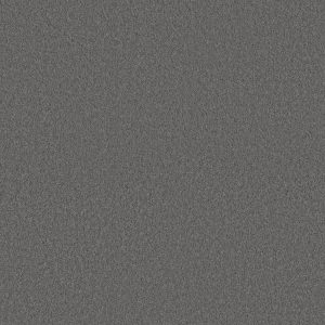 Anderson Tuftex Carpet CASHMERE CLASSIC IV - 00527 SHALESTONE