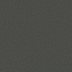 Anderson Tuftex Carpet CASHMERE CLASSIC IV - 00528 ONYX