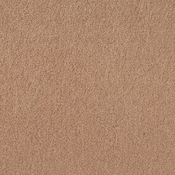 Anderson Tuftex Carpet CASHMERE CLASSIC IV - 00600 MAPLEWOOD NORTH