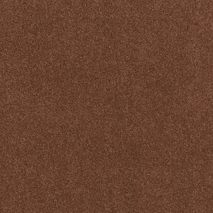 Anderson Tuftex Carpet CASHMERE CLASSIC IV - 00620 RICH HENNA