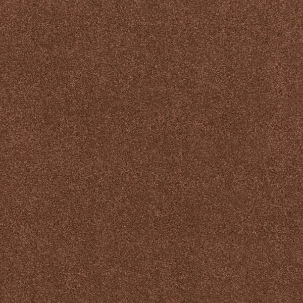 Anderson Tuftex Carpet CASHMERE CLASSIC IV - 00620 RICH HENNA