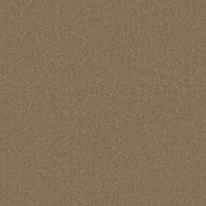 Anderson Tuftex Carpet CASHMERE CLASSIC IV - 00703 NAVAJO