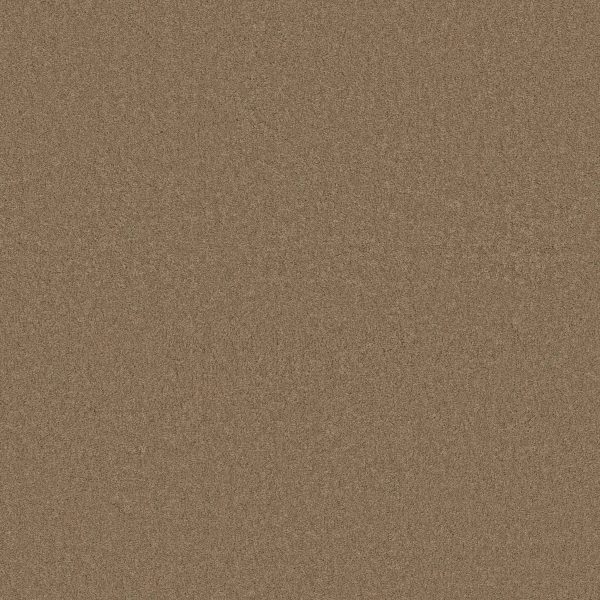 Anderson Tuftex Carpet CASHMERE CLASSIC IV - 00703 NAVAJO