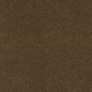 Anderson Tuftex Carpet CASHMERE CLASSIC IV - 00707 BISON
