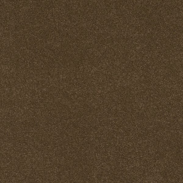 Anderson Tuftex Carpet CASHMERE CLASSIC IV - 00707 BISON