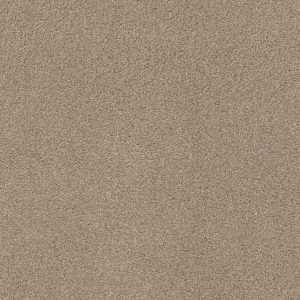 Anderson Tuftex Carpet CASHMERE CLASSIC IV - 00720 WHITE PINE