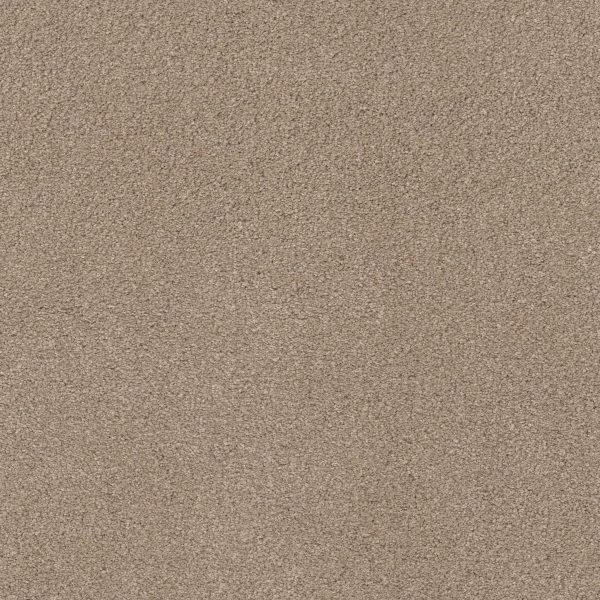 Anderson Tuftex Carpet CASHMERE CLASSIC IV - 00720 WHITE PINE