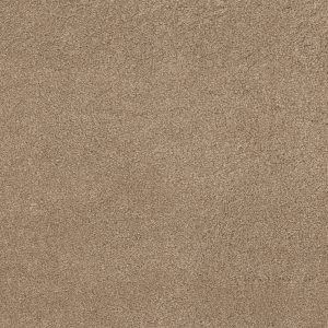 Anderson Tuftex Carpet CASHMERE CLASSIC IV - 00721 PECAN BARK