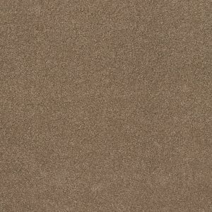 Anderson Tuftex Carpet CASHMERE CLASSIC IV - 00722 PEBBLE PATH