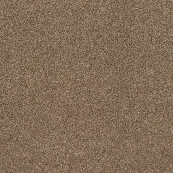 Anderson Tuftex Carpet CASHMERE CLASSIC IV - 00722 PEBBLE PATH