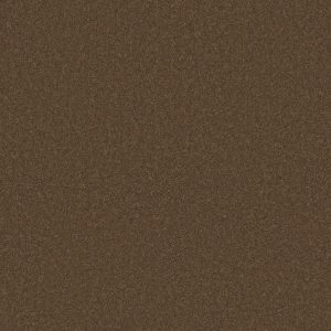 Anderson Tuftex Carpet CASHMERE CLASSIC IV - 00723 TOBACCO LEAF