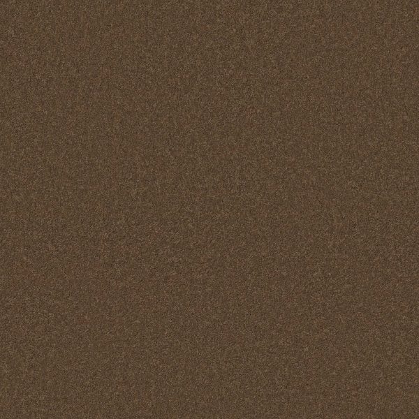 Anderson Tuftex Carpet CASHMERE CLASSIC IV - 00723 TOBACCO LEAF