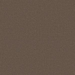 Anderson Tuftex Carpet CASHMERE CLASSIC IV - 00724 MESQUITE