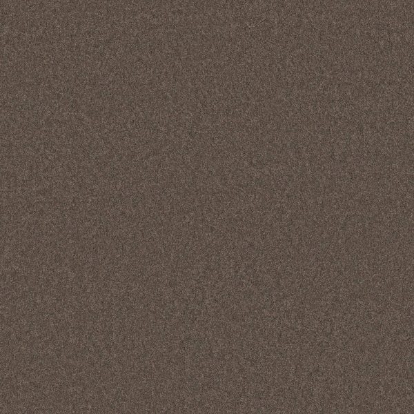 Anderson Tuftex Carpet CASHMERE CLASSIC IV - 00725 SPRING - WOOD