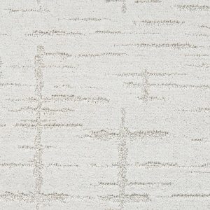 Anderson Tuftex Carpet RUSTIQUE VIBE - 00102 ATMOSPHERIC