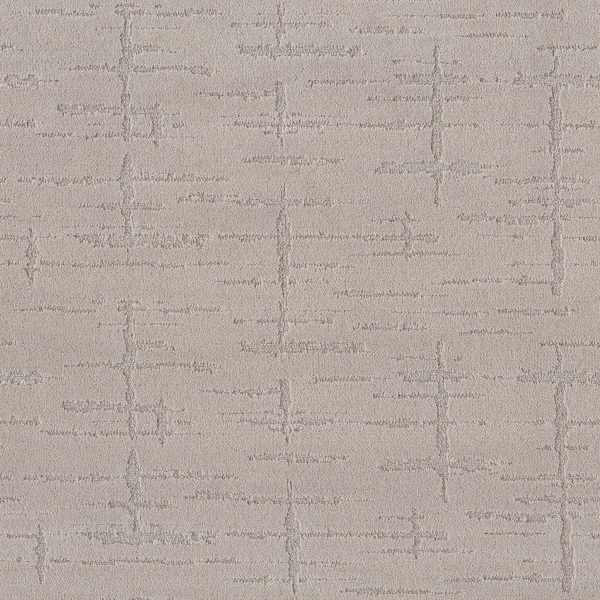 Anderson Tuftex Carpet RUSTIQUE VIBE - 00106 MIST