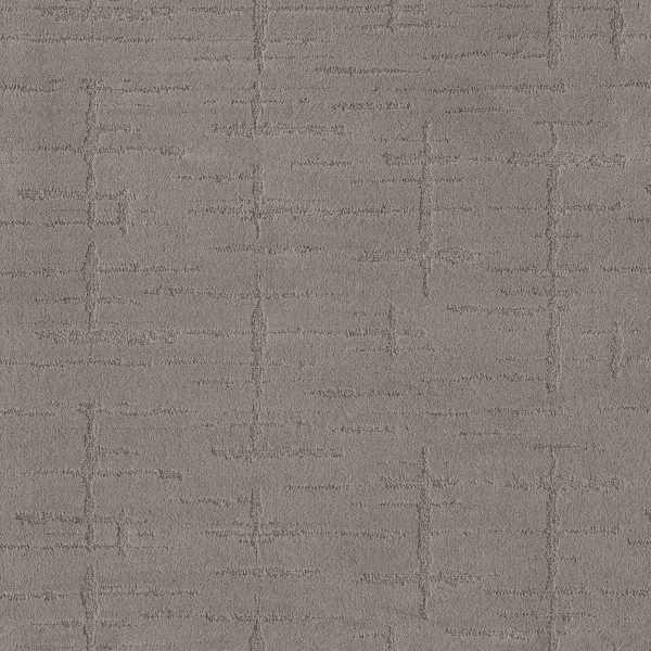 Anderson Tuftex Carpet RUSTIQUE VIBE - 00502 SHADOW