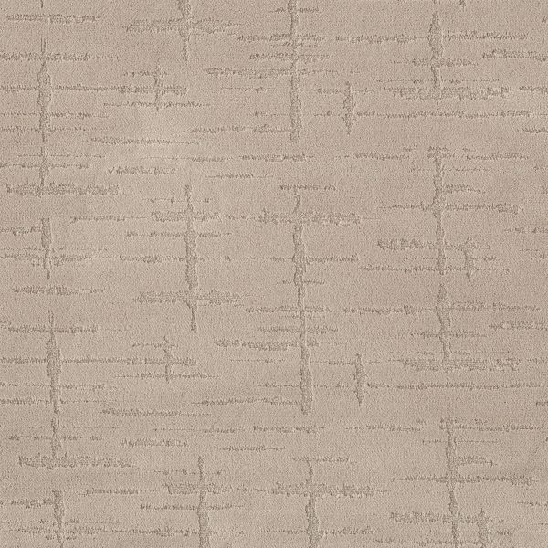 Anderson Tuftex Carpet RUSTIQUE VIBE - 00700 CLAY